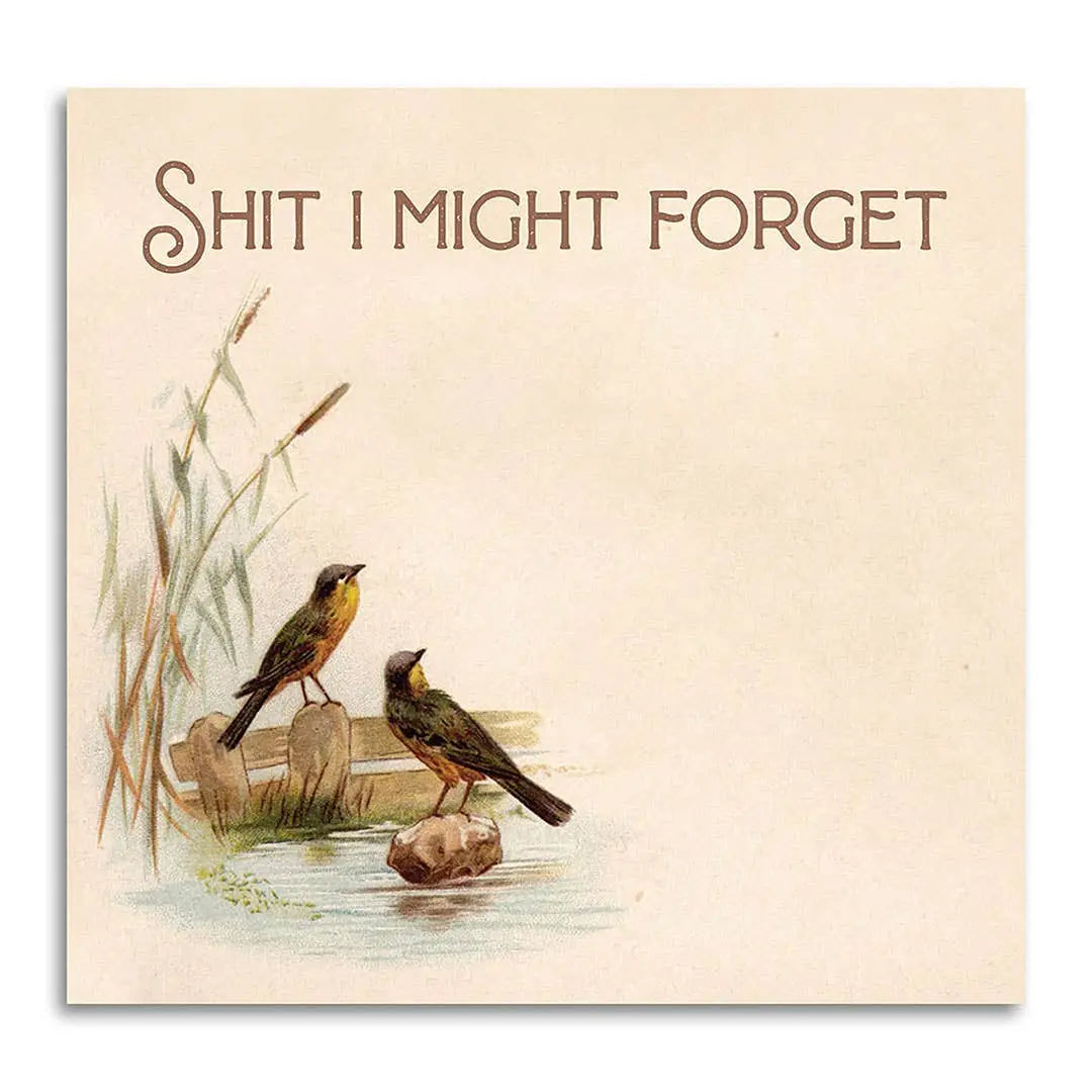 Shit I Might Forget Sticky Note Pad Bad Betty Greeting Co.