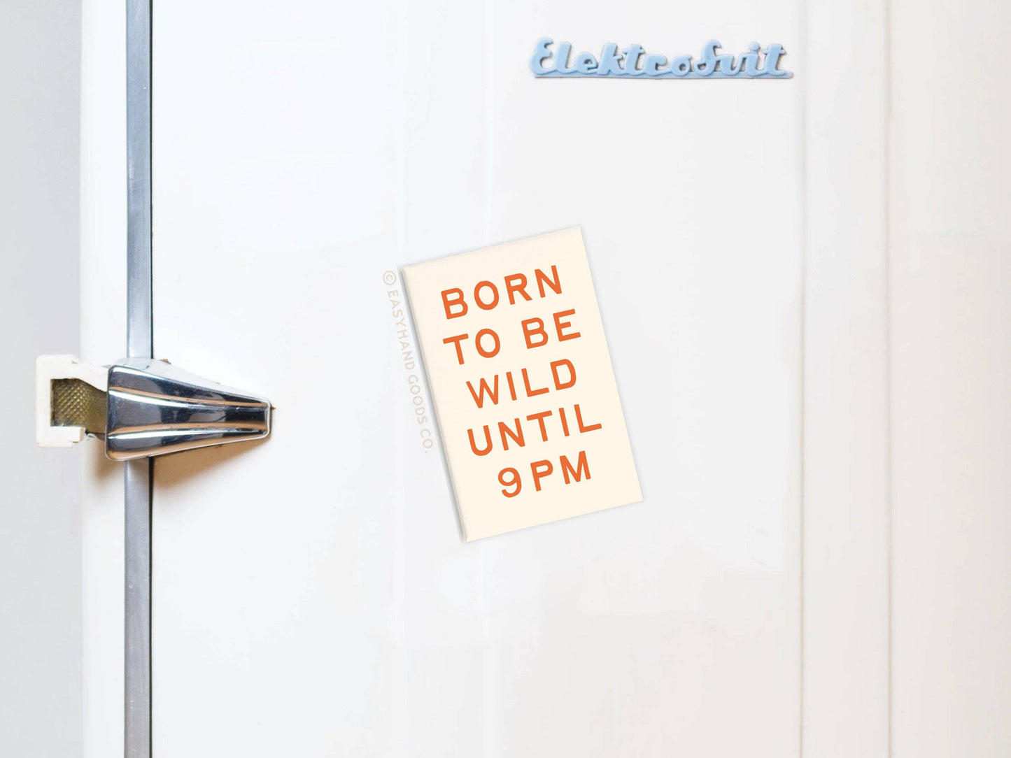 Born To Be Wild Magnet