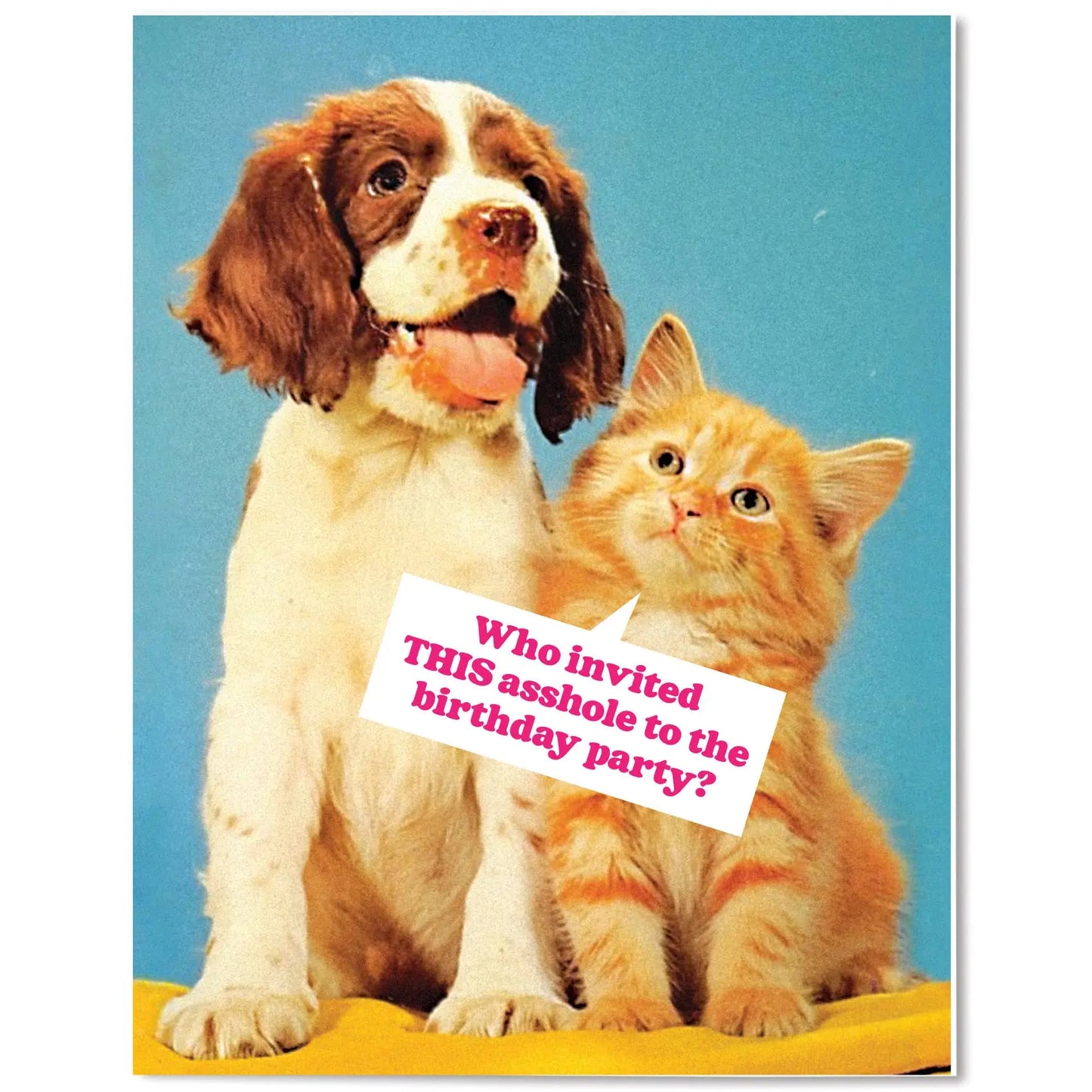 Who Invited This Asshole? Birthday Card The Raccoon Society