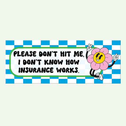 Please Don't Hit Me Bumper Sticker Decal, Funny Car Sticker
