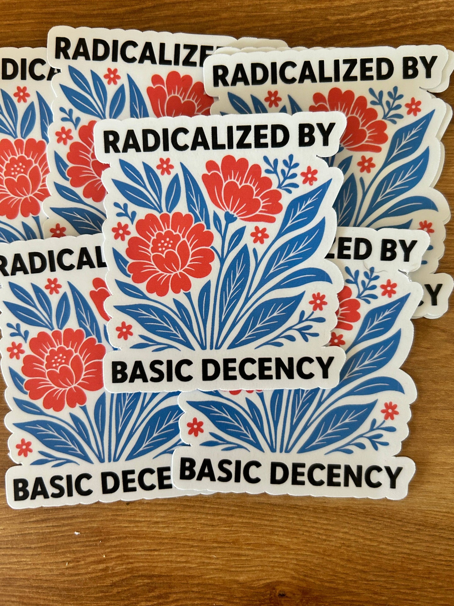 Radicalized By Basic Decency sticker